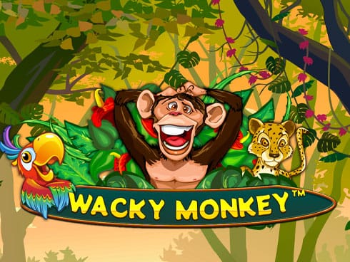 Wacky Monkey thumbnail